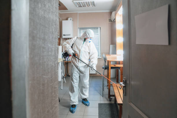 Best Basement Mold Removal  in Fort Lee, VA